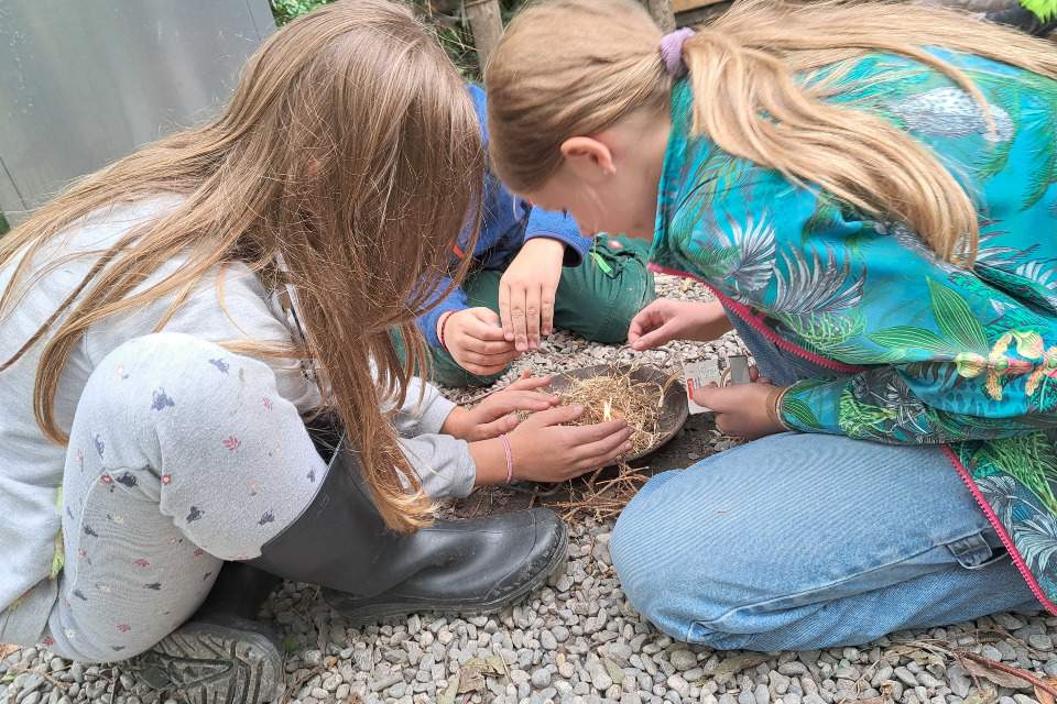 Vorschau Bild des Kurses Waldläuferbanden-Sommercamp