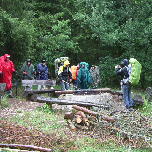 Vorschau Bild des Kurses Waldnacht, Wildniswanderung für Waldmenschen!
