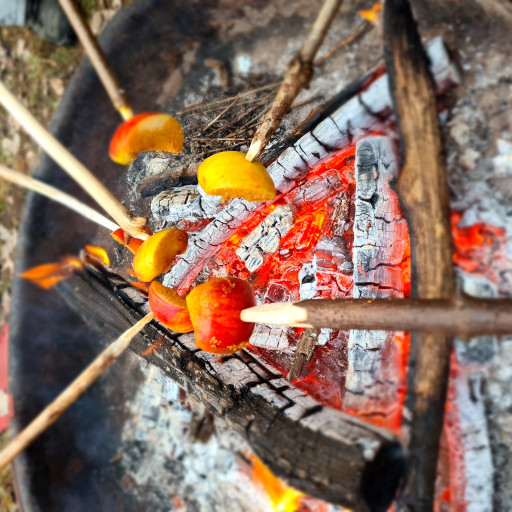 Vorschau Bild des Kurses Tagescamp für Kinder in den Herbstferien!