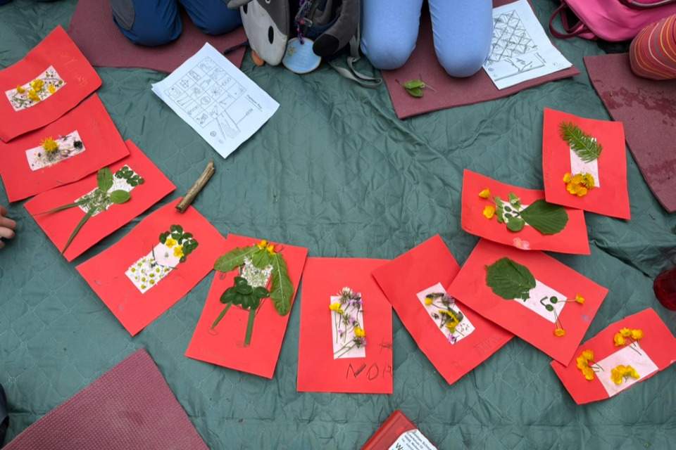 Vorschau Bild des Kurses FORTBILDUNG „Der Einsatz von Waldbadenelementen zur Stressreduktion im pädagogischen Alltag“