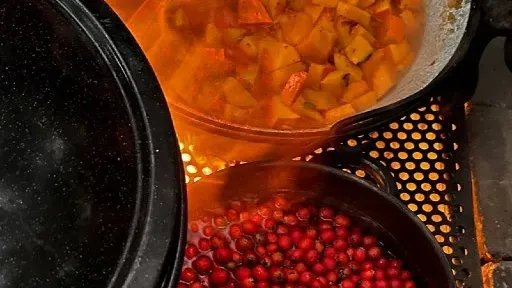 Vorschau Bild des Kurses Wildes Kochen