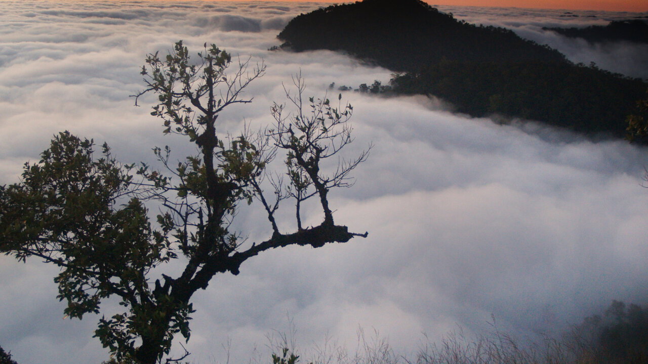 Wilderness Trekking: Doi Langka