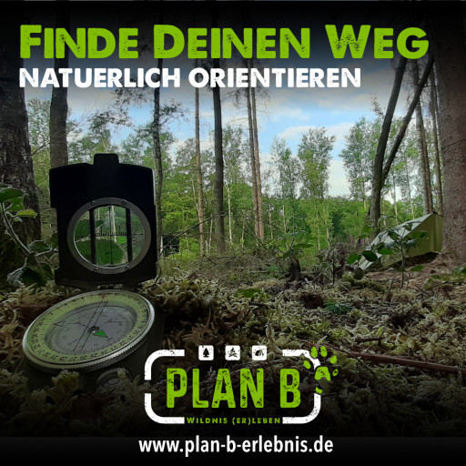 Vorschau Bild des Kurses Orientierung in der Natur