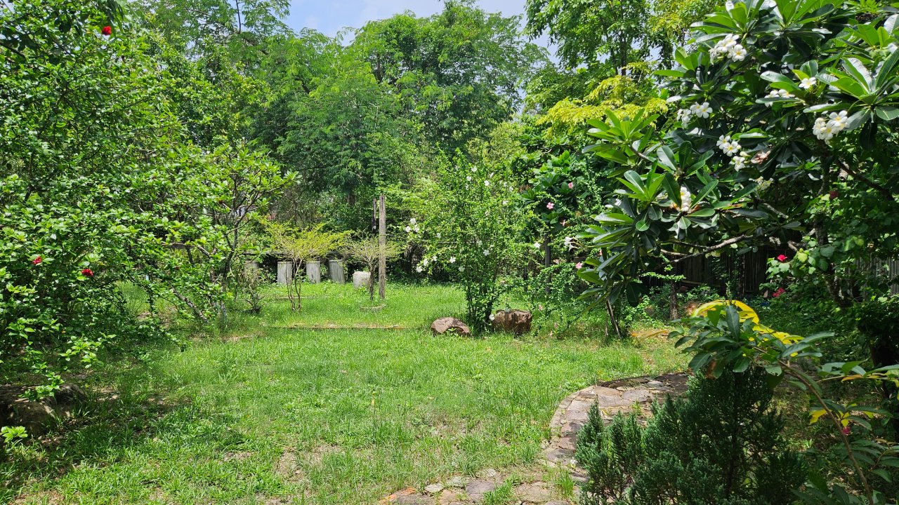 Vorschau Bild des Kurses The Secret Garden Gathering