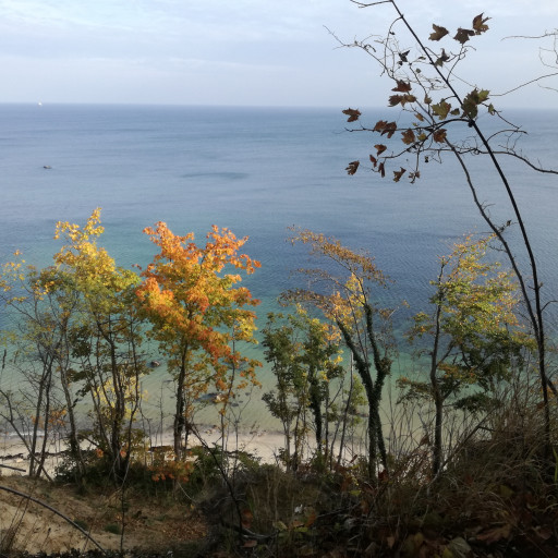 Vorschau Bild des Kurses Kraft tanken am Meer & mehr