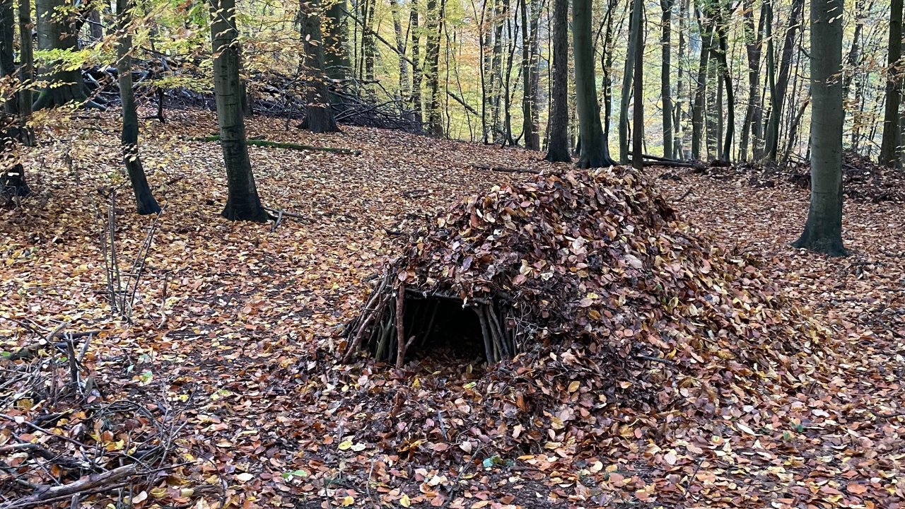 Vorschau Bild des Kurses Handlungsfähig bleiben – Survival als Erfahrungsweg