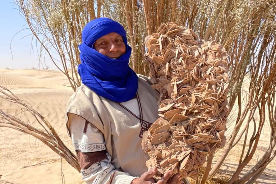 Bild des Team Mitglieds Abdallah Ferjani 