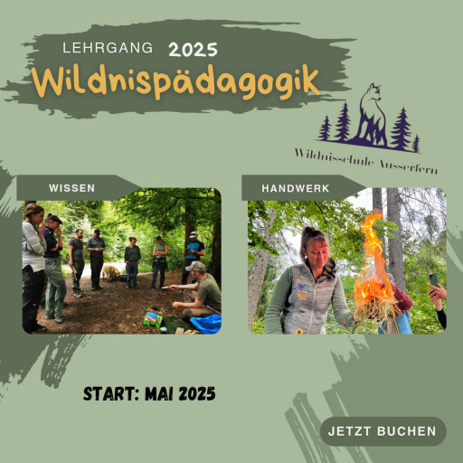 Vorschau Bild des Kurses Wildnispädagogik 1 (Lehrgang)