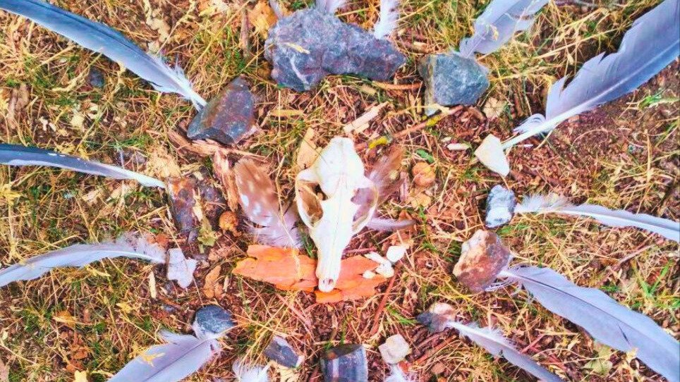 Vorschau Bild des Kurses Friedvolle Krieger der Wildnis - Teil 1 - Scout-Basiskurs