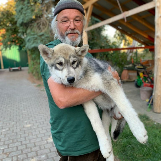 Bild des Team Mitglieds Wilfried Mengs