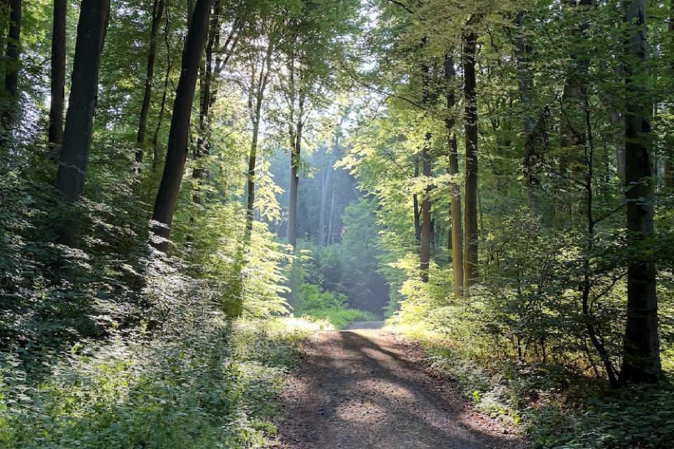 randomly picked image number 5 of outdoor class offering on wildnet