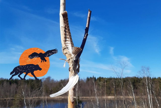 Vorschau Bild des Kurses Wild&Aware | Wildnis-Retreat in Schweden