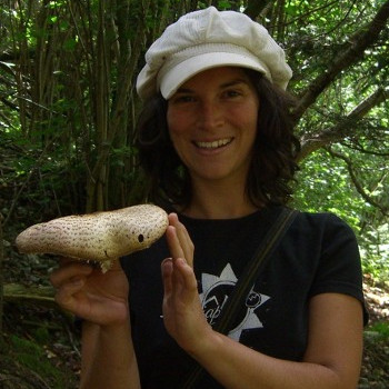 Bild des Team Mitglieds Karin Schwarz