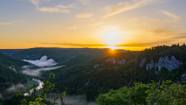 Preview image of class Wildniswandern im Oberen Donautal
