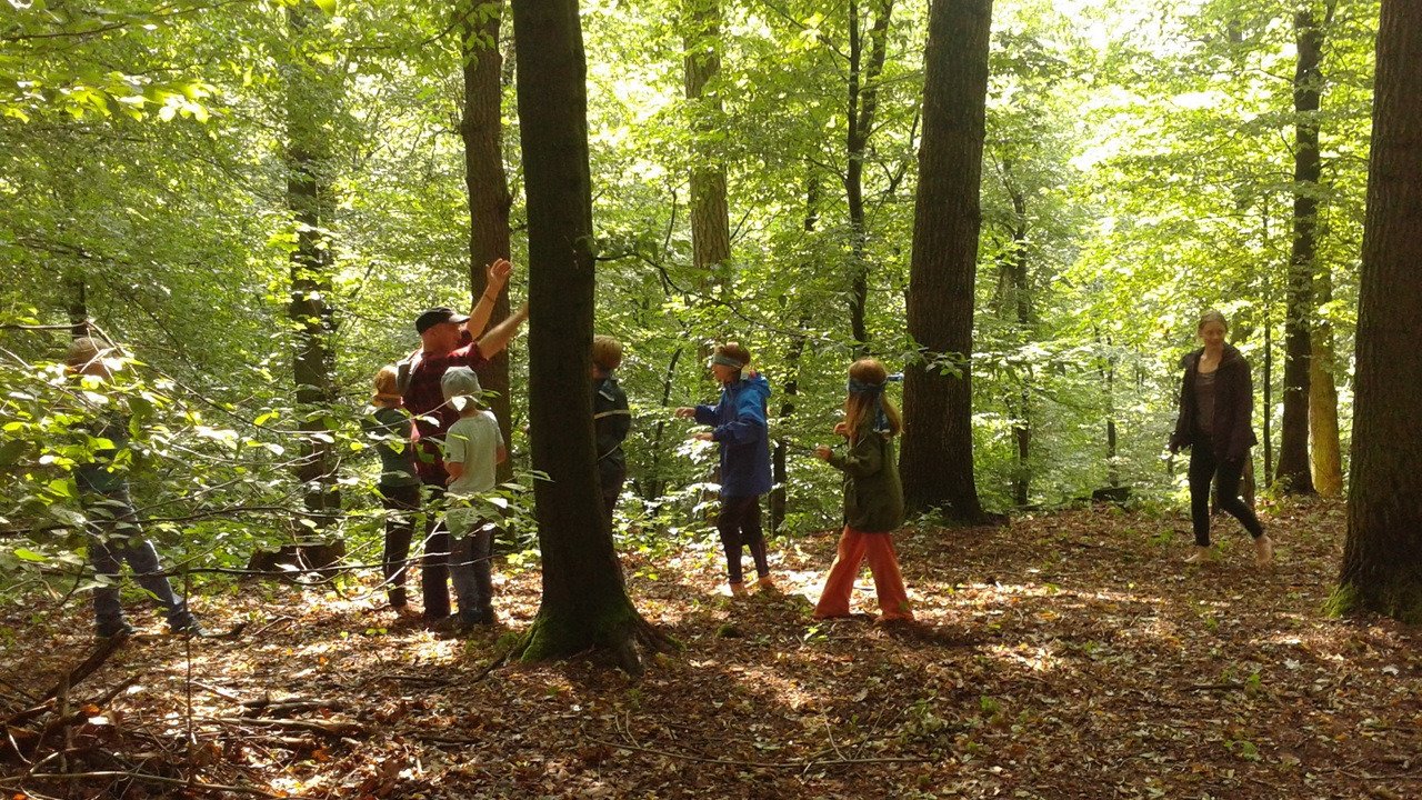 Vorschau Bild des Kurses Fortbildung wilde Spiele und Sommerpflanzen