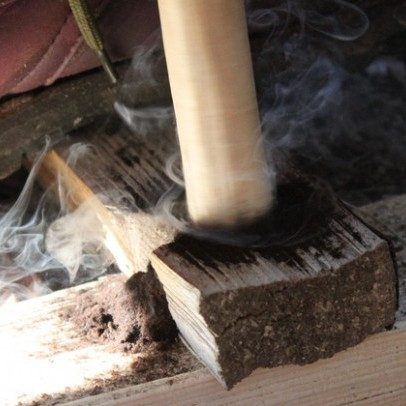 Vorschau Bild des Kurses Leben in der Natur 1