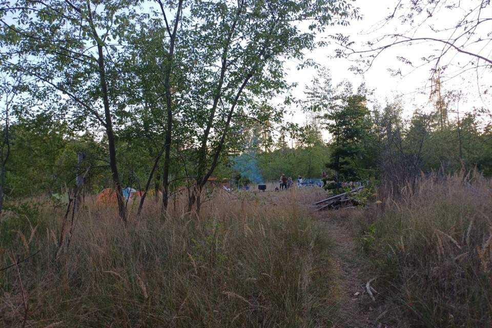 Vorschau Bild des Kurses 24-Stunden-Solo-Wald-Zeit für Frauen