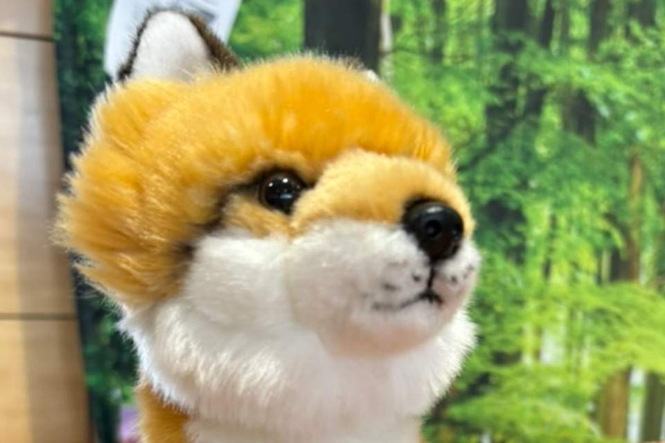 Picture of school team member Felix Fuchs