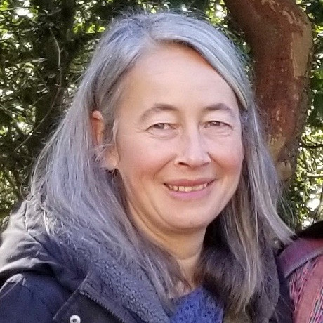 Bild des Team Mitglieds Angelika Bachmann-Hönlinger