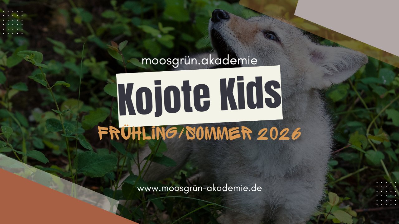 Vorschau Bild des Kurses Kojote Kids