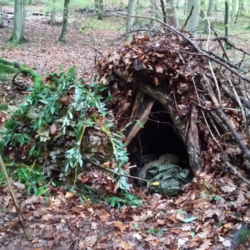 Vorschau Bild des Kurses Wildnispädagogische Ausbildung  Teil 1 2026 / 2027 Die Natur vor unserer Haustüre