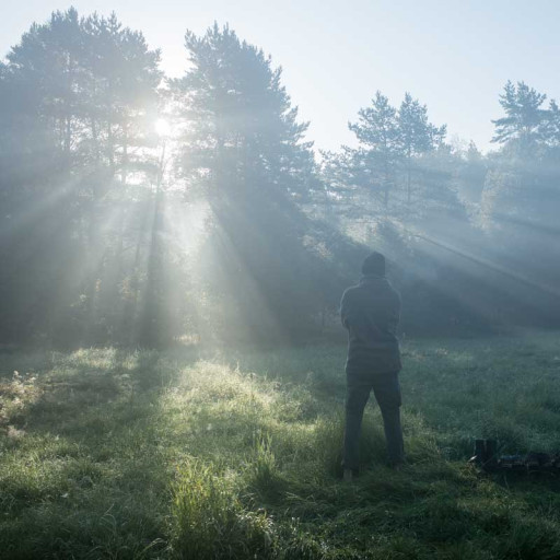 Vorschau Bild des Kurses Wald-Visionssuche
