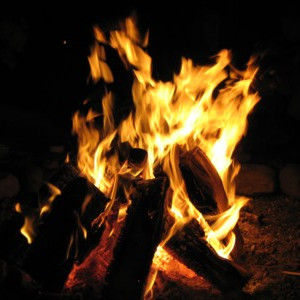 Vorschau Bild des Kurses Wilde Männer - Naturwochenende