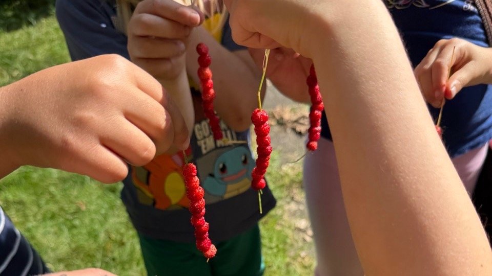 Vorschau Bild des Kurses Die Wildlinge Block 2 für Kinder von 6 - 12 Jahren (wöchentlicher Kurs)