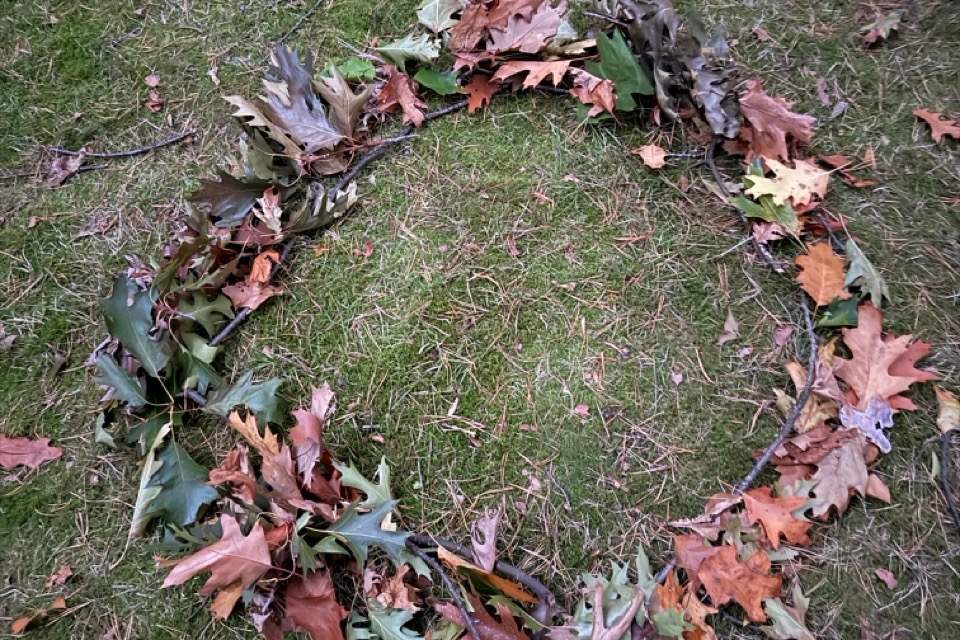 Vorschau Bild des Kurses Bewegung und Wahrnehmung - Naturachtsamkeit und Resilienz Block II