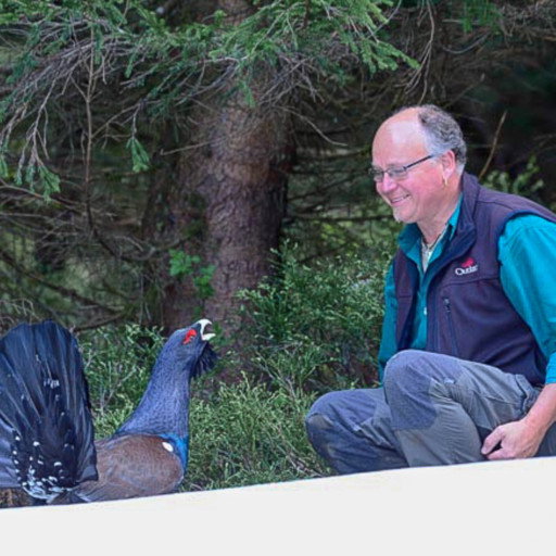 Vorschau Bild des Kurses Vogelsprache Online Seminar
