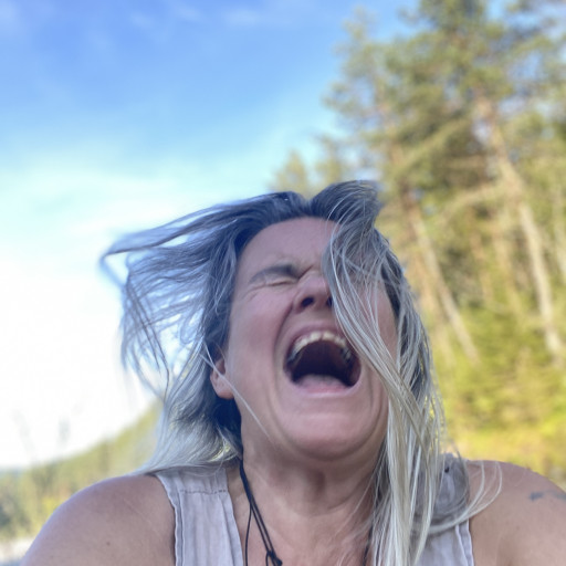 Vorschau Bild des Kurses Webinar