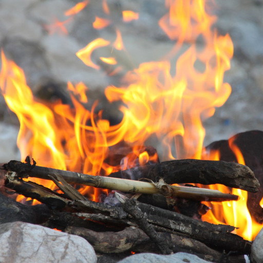 Vorschau Bild des Kurses Eltern-Kind-Wildniscamp