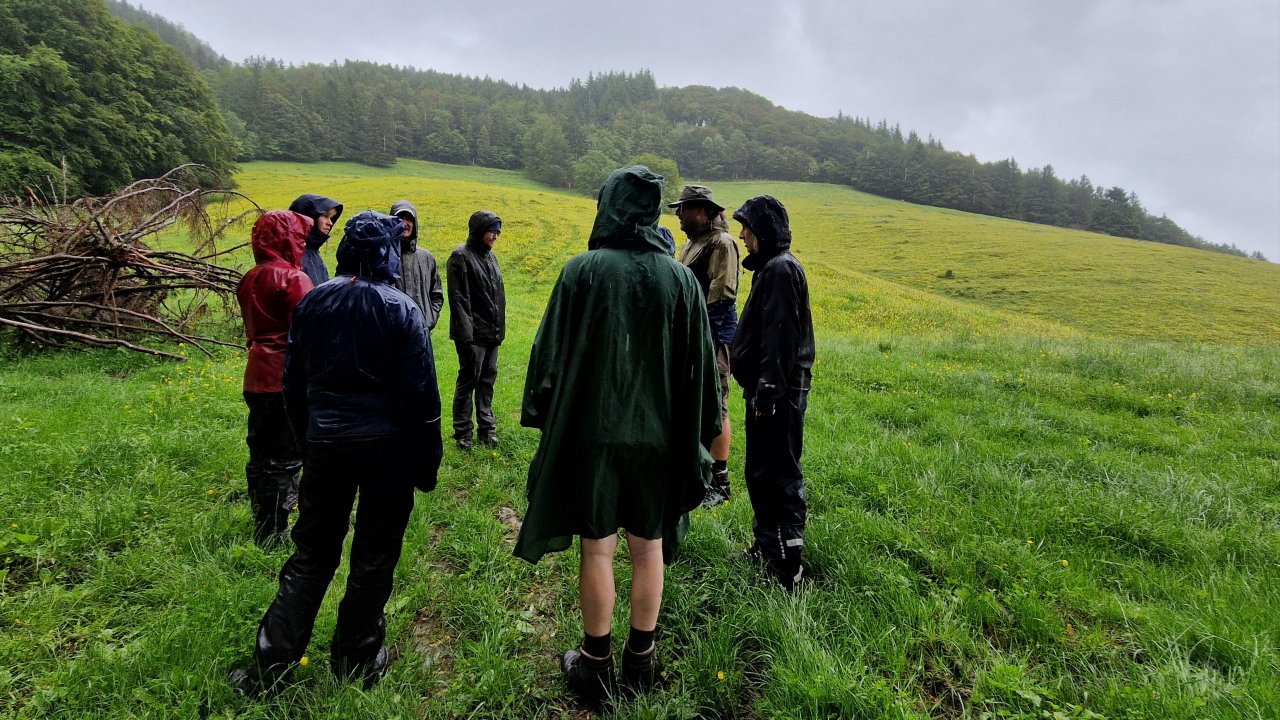 Vorschau Bild des Kurses Natur- und Erlebnispädagog:in