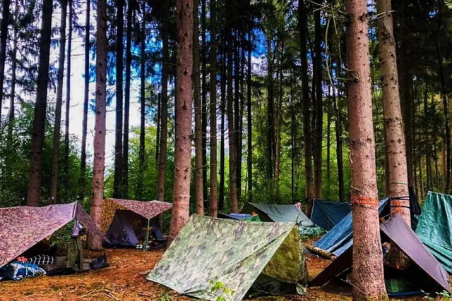 Preview image of class Wildnisbasiskurs Wildnisleben