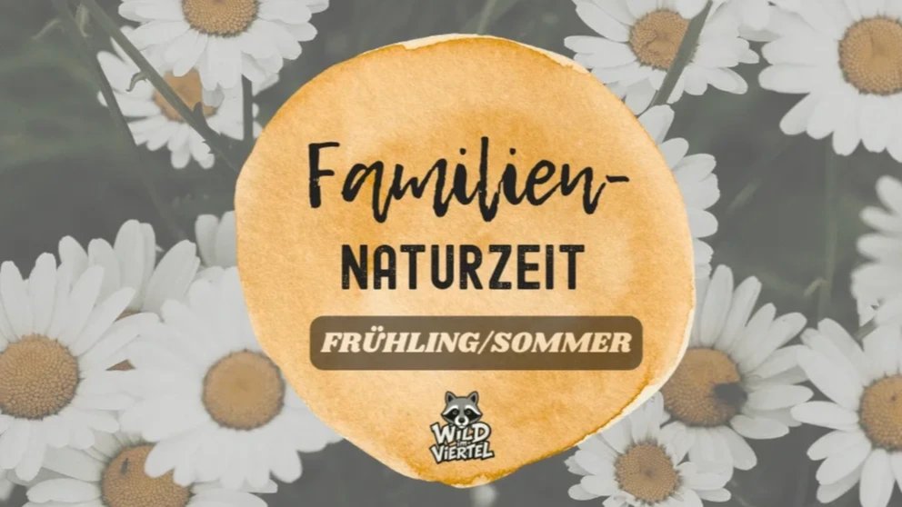 Vorschau Bild des Kurses Familien-Naturzeit in Schwerin: Frühling und Sommer