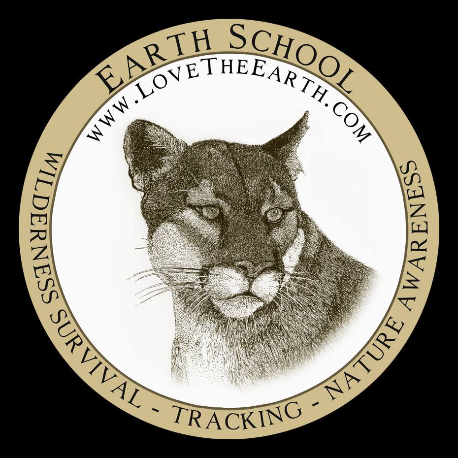 Logo der Wildnisschule Earth School