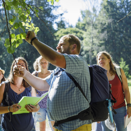 Vorschau Bild des Kurses Weiterbildung Naturpädagogik (zert. Naturschule Deutschland e.V.)