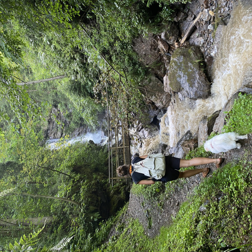 Vorschau Bild des Kurses VisionWalk - Medizingang