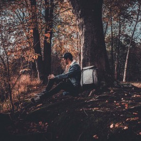Vorschau Bild des Kurses Morgentau: Der Natur-Kurs für Erholung im Wald