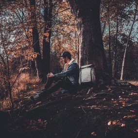 Vorschau Bild des Kurses Morgentau: Der Natur-Kurs für Erholung im Wald