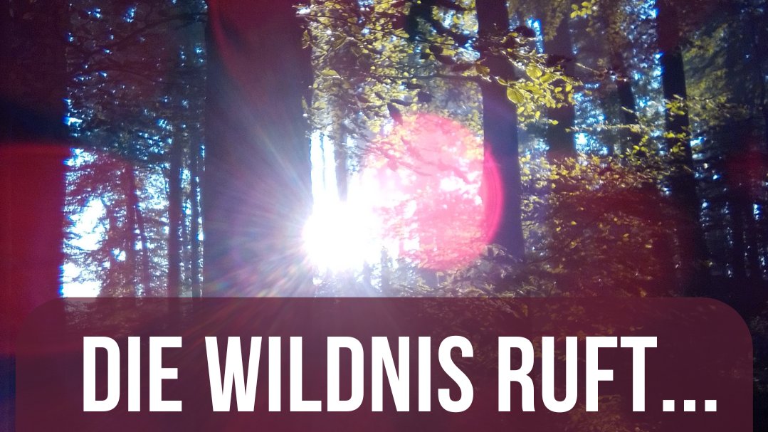 Vorschau Bild des Kurses Die Wildnis ruft...