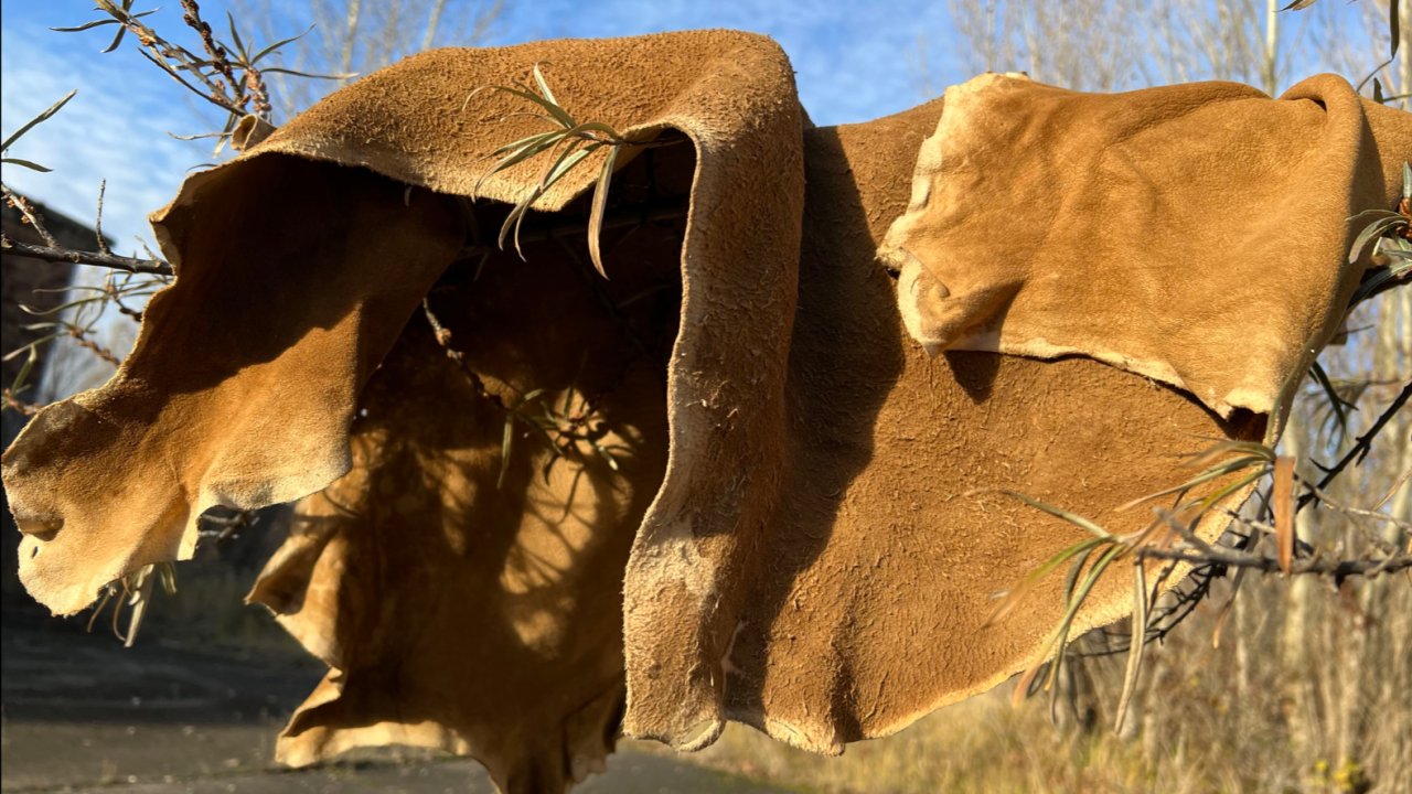 Vorschau Bild des Kurses Wildleder selbst herstellen - traditioneller Gerbkurs