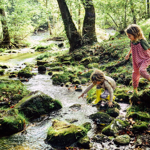 Vorschau Bild des Kurses Kinderritual: Naturverbindung stärken