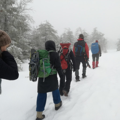 Vorschau Bild des Kurses Iglubau & Schneeschuhwandern