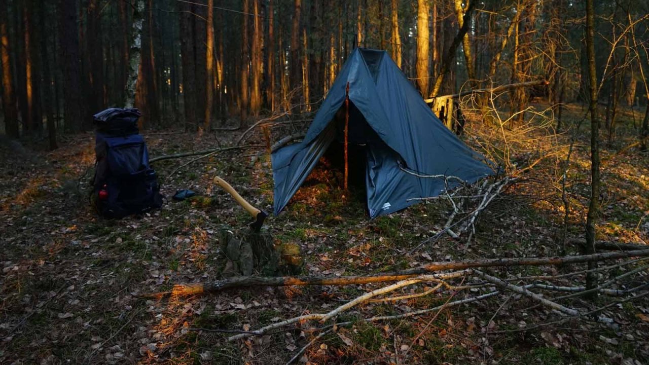 Vorschau Bild des Kurses Survival Training: Überleben in der Natur