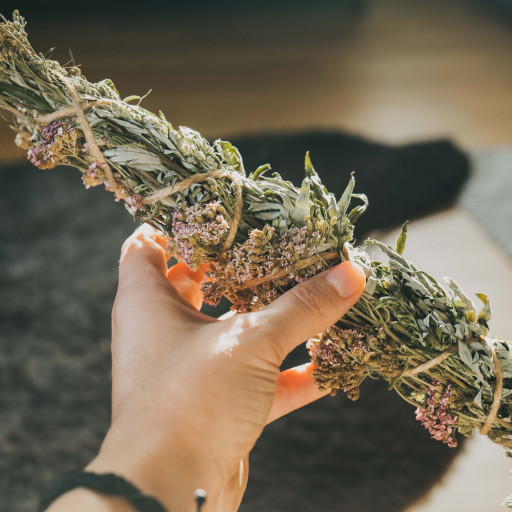 Vorschau Bild des Kurses Wildkräuter Räuchern