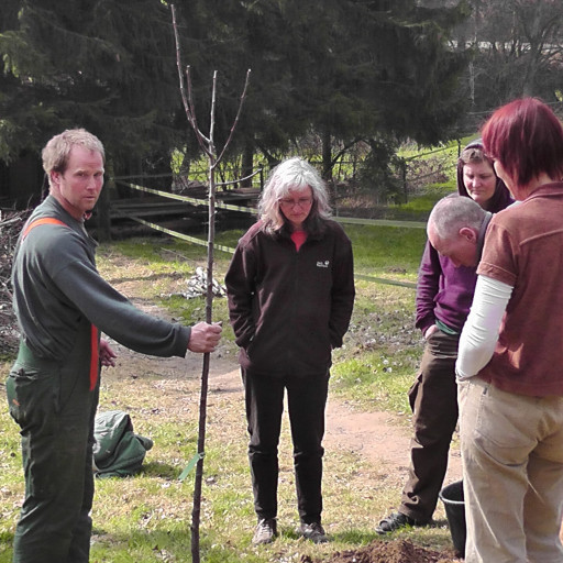 Vorschau Bild des Kurses Caretaker-Tage