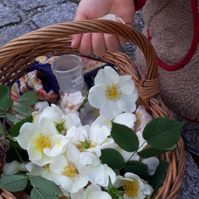 Preview image of class Destillationskurs: So kannst du Pflanzenwasser herstellen.