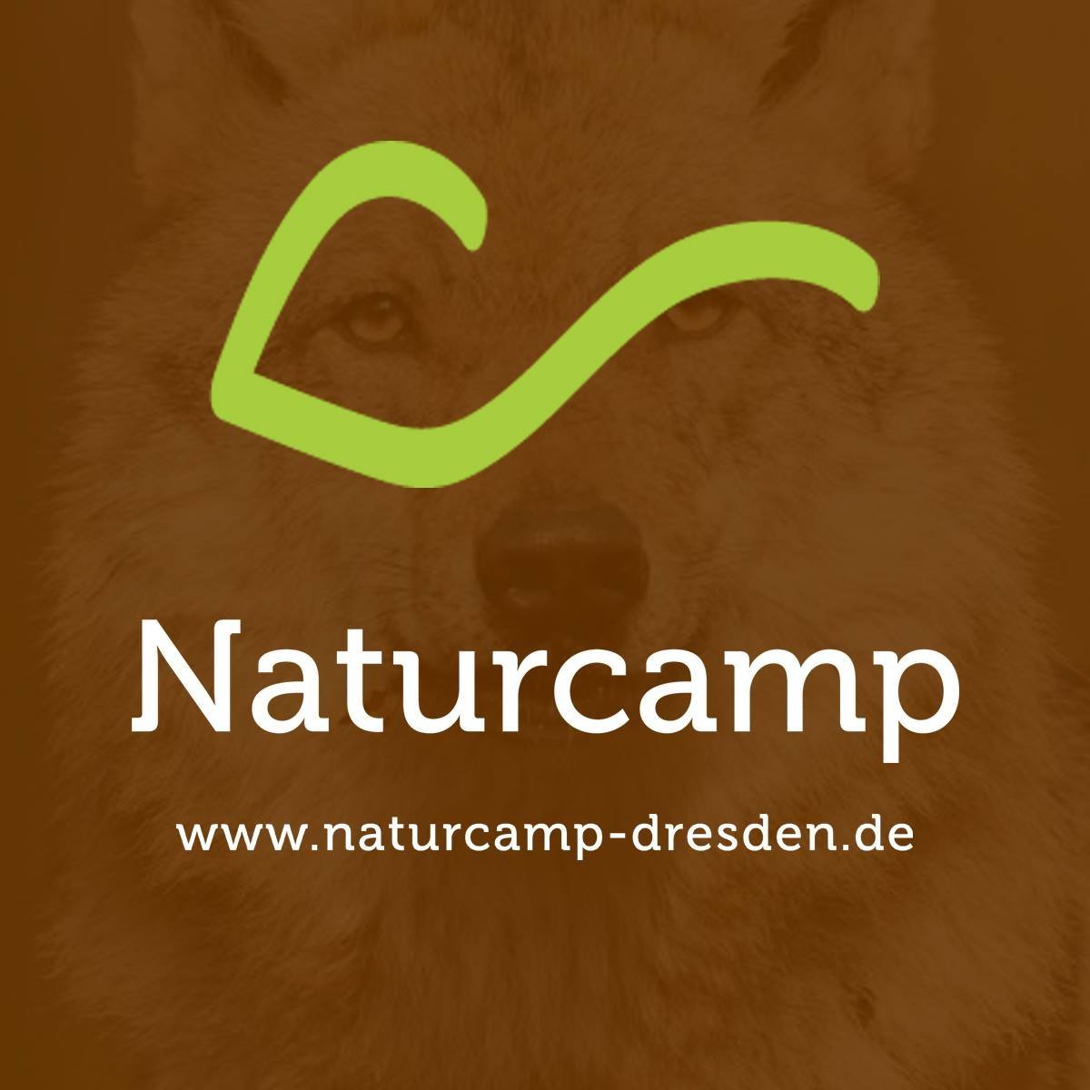 Bild von Wildnisschule Naturcamp Dresden