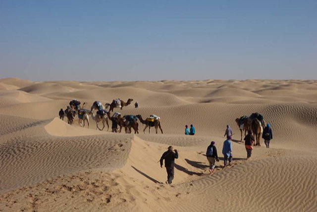 Vorschau Bild des Kurses Mit Beduinen durch die Sahara